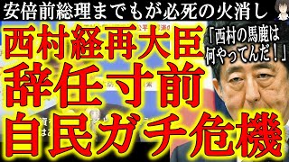 【西村大臣辞任寸前！安倍晋三氏『自民党が危ない』】致命的な西村大臣の『金融機関への働きかけ』発言。飲食店は金の流れが止まると倒産しかない事実を経済再生大臣が何故理解していないんだ？
