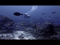 Castle Rock - Komodo National Park - 30/09/19