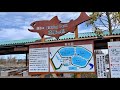 Area Trout Fishing In Japan