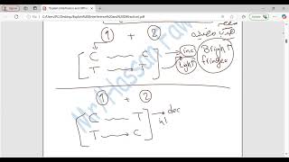 Physics (2 Sec): Explain (Light Interference) and (Light Diffraction)