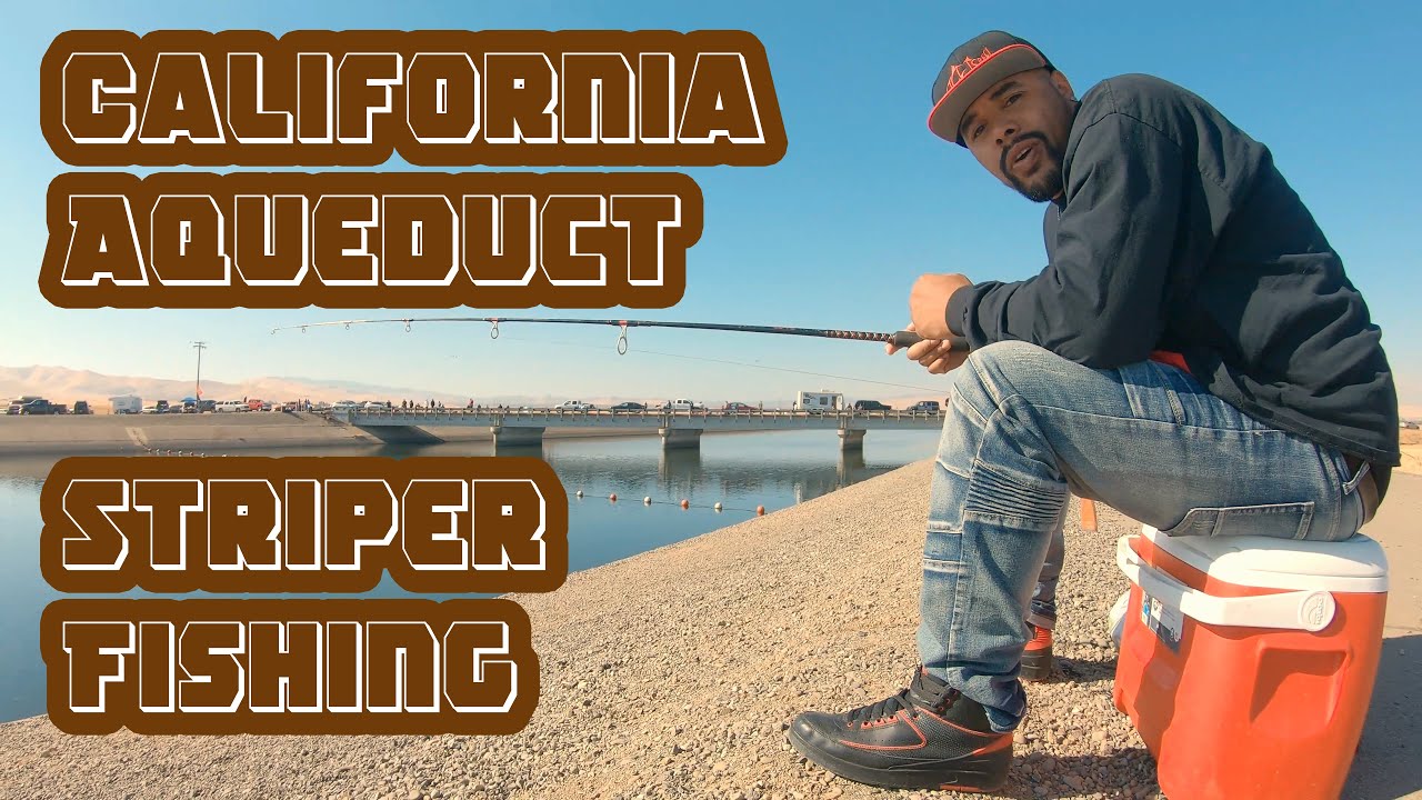 California Aqueduct Striper Fishing ITGETSREEL Episode 32 YouTube