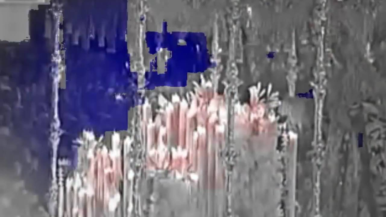 ECOS DEL ROCÍO   COSTALERO