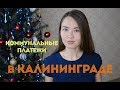 КОММУНАЛЬНЫЕ ПЛАТЕЖИ В КАЛИНИНГРАДЕ | 2019