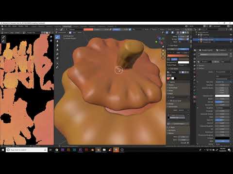 Pumpkin Cat Timelapse