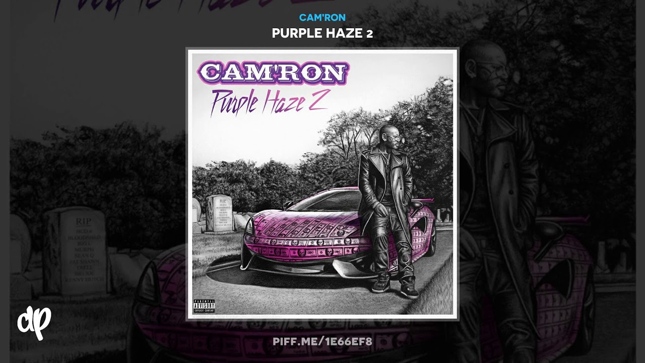 激レア廃盤オリジナル2LP Cam'ron Purple Haze 激レア廃盤オリジナル2LP Cam´ron Purple Haze 【公式通販】
