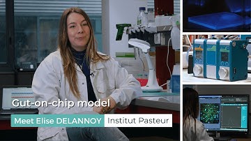 Gut-on-chip model - Elise Delannoy - Institut Pasteur – Fluigent