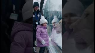 Leão Branco Acalma Menina No Zoológico De Neve