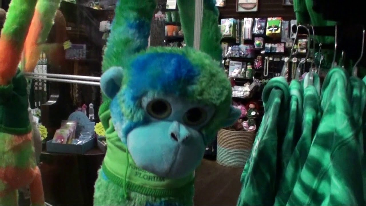 McGuires Irish Pub Tour - Destin Florida