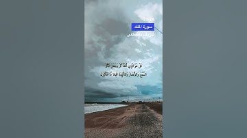 سورة الملك الاية 22-26