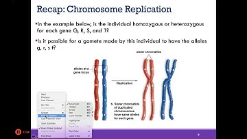 BIO1 Online | Chapter 10: Inheritance (Part 1 of 2)
