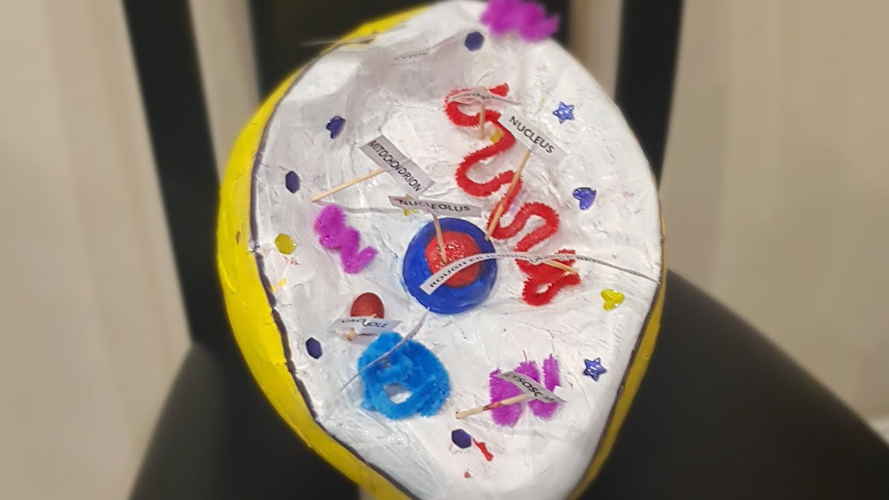 How to make a 3D animal cell - YouTube