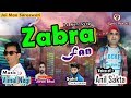 Zabra fan  dj non stop  by anil sakta cyber pahari  latest pahari blast 