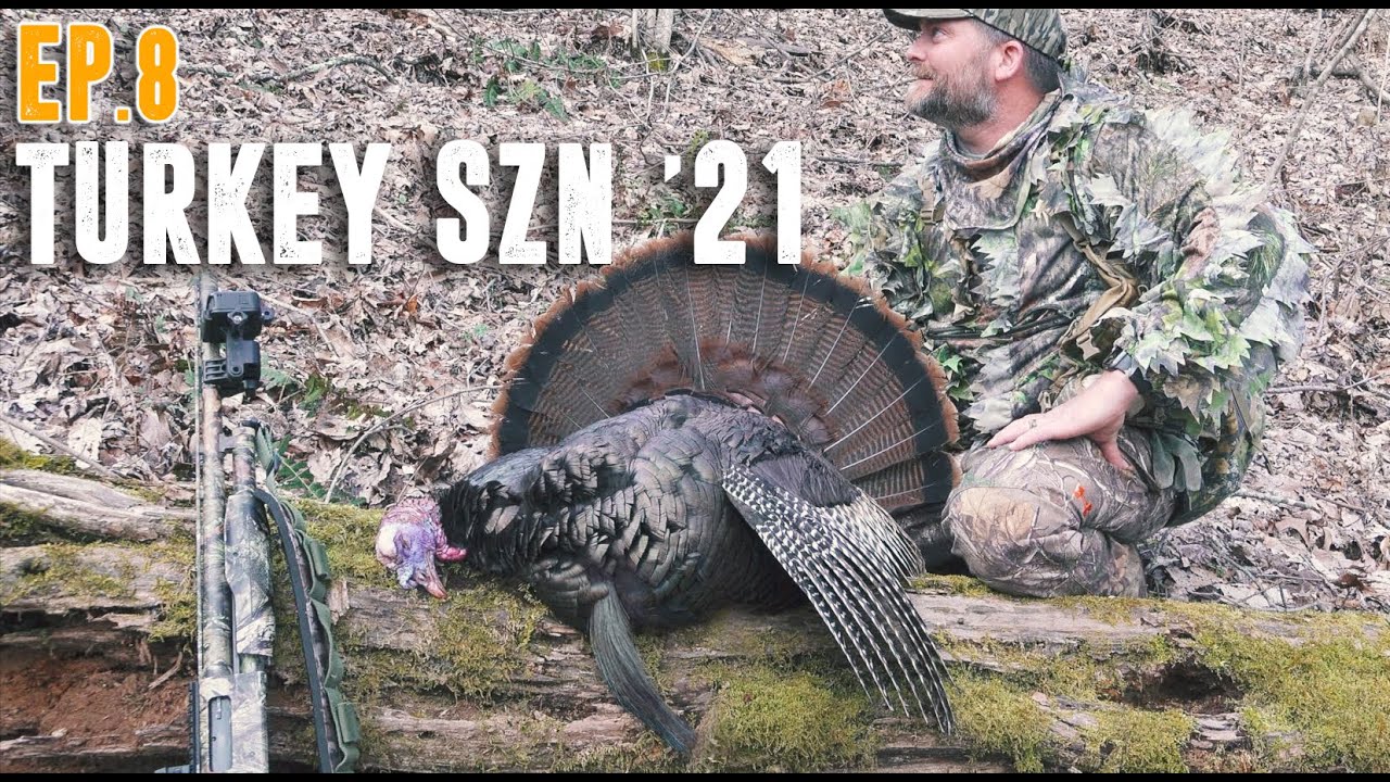 BIGGEST BEARD YET??? Virginia Public Land Turkey Hunting YouTube
