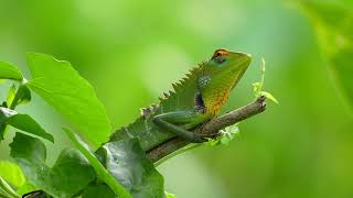 Jim Ratcliffe's empire suffers more pain