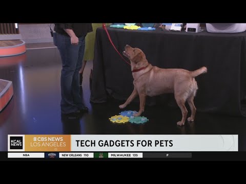 Tech Talk: Cool gadgets for family pets