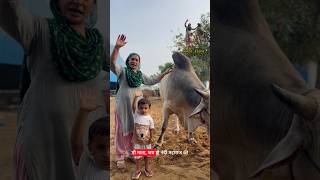 “शक्ति के साथ विनम्रता कैसी होती है - देखों नंदी महाराज को💪❤️..#nandimaharaj #gaumata #sanatan