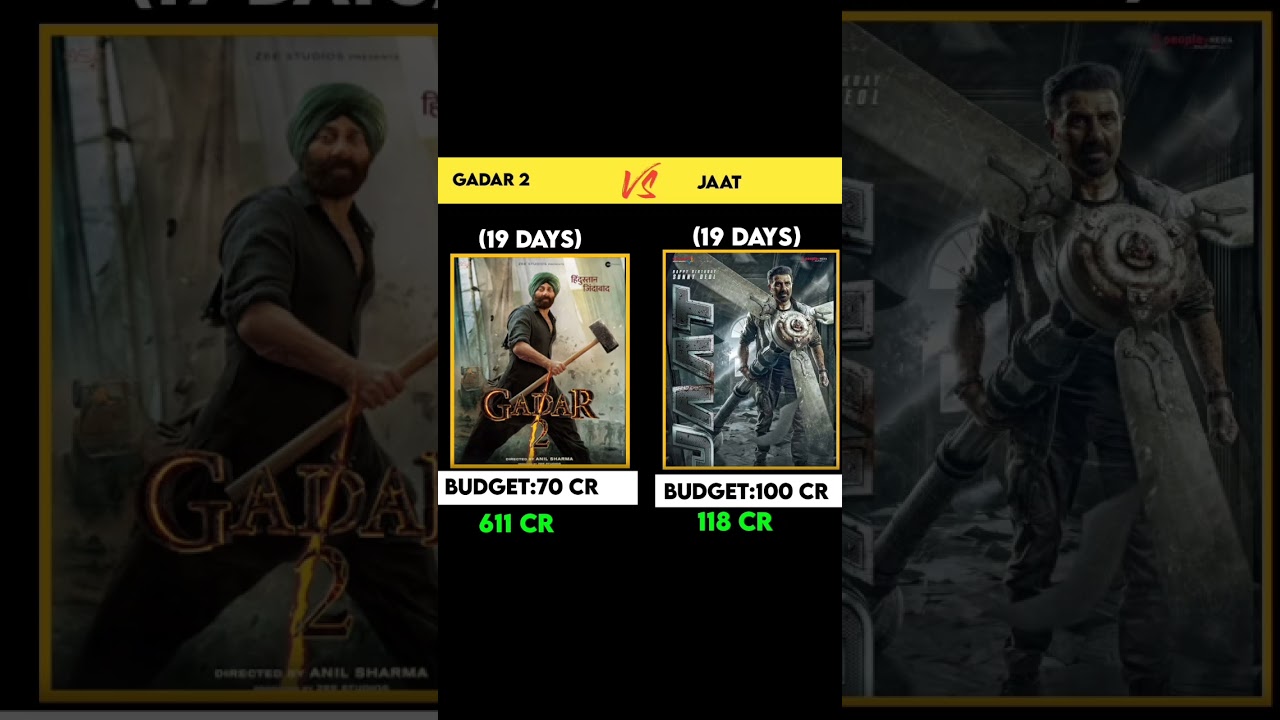 jaat 19 days worldwide box office collection|gadar 2 19 days box office collection