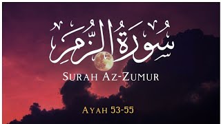 Surah Zumar 🌸 | Ayah 53-55 | Ghassan Al Shorbaji | Quran Recitation | Tilawat