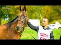 Международные соревнования по дистанционным конным пробегам памяти Тимура Насырова