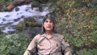 Celebrity Recreation Pass Questions and Answers, Pacific Northwest Region Profile