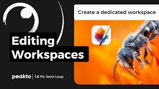 Editing workspaces with Pixelmator Pro | Peakto screenshot 4
