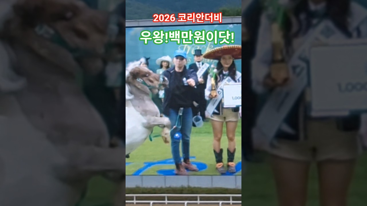 말이 더좋아해^^# 경마 #말 #달려라말 #shorts #대상경주