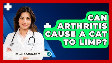 Can Arthritis Cause A Cat To Limp? - PetGuide360.com