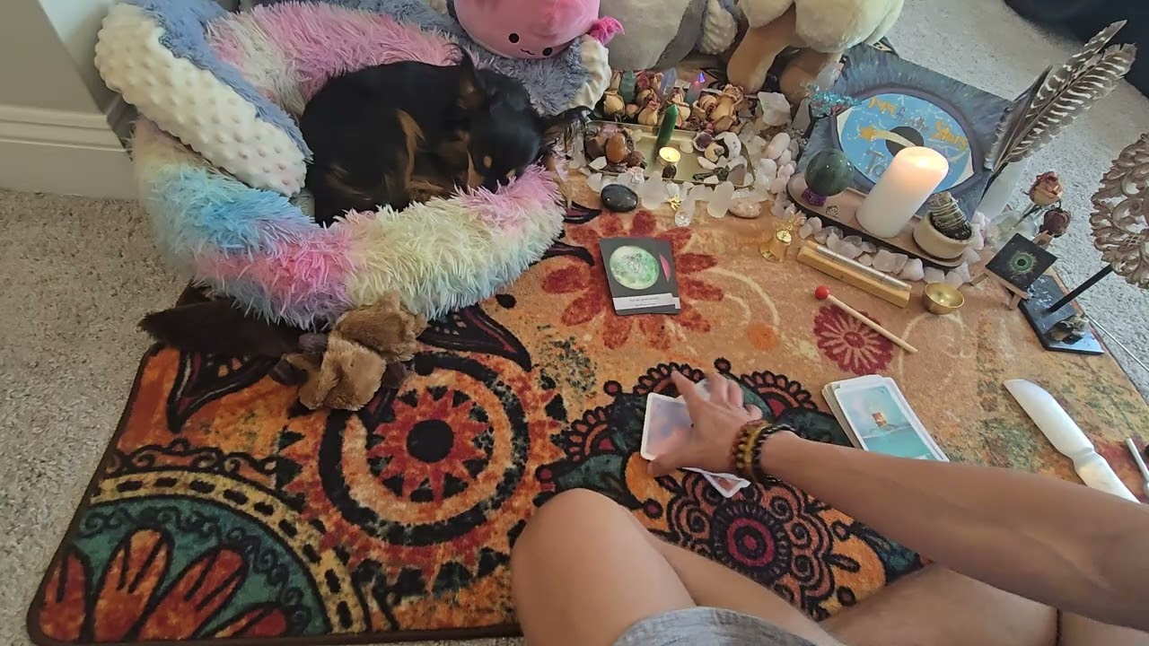 You've made History. Chosen one. You're in charge.