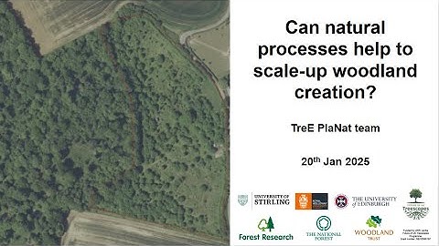 TreE PlaNat wrap-up webinar: Creating woodland through natural processes