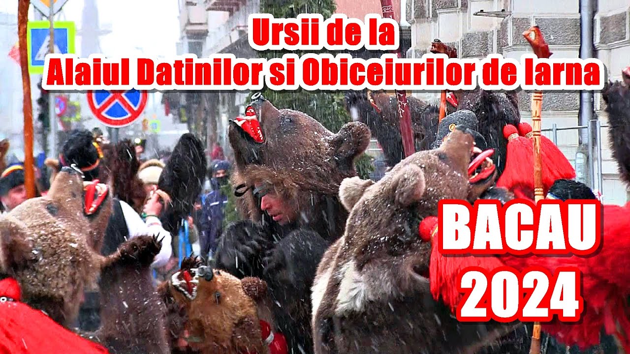 Urșii de la Alaiul Datinilor și Obiceiurilor de Iarnă, Bacău 2024