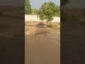 LPB KI PUBLIC