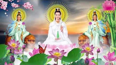 Mỗi Đêm Nghe Quan Âm Cứu Khổ Chơn Kinh 7 Biến Bồ Tát Phù Hộ May Mắn Bình An Cả Đời   Vườn A Di Đà