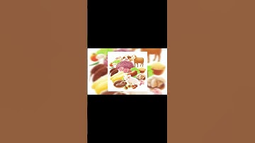 Carnivore Diet Explained | What to Eat and What to Avoid