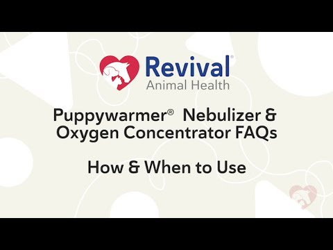 Puppywarmer Nebulizer &amp; Oxygen Concentrator FAQs - YouTube