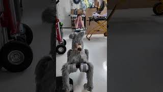 Im Worried What Will My Wife Think...