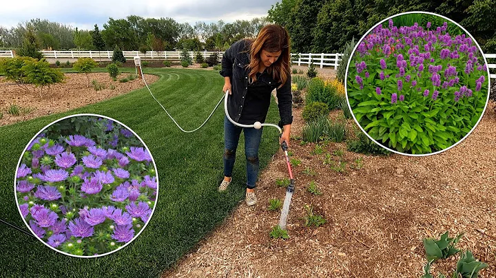 Planting a Bunch of Perennials & a Few Dahlias!  /...