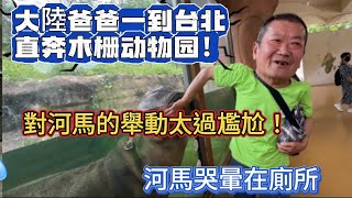 大陸爸爸一到台北直奔木栅动物园！對河馬的舉動太過尷尬！河馬最後哭暈在廁所！