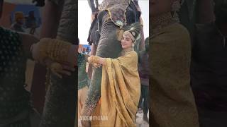 Kundhavai Trisha In The Sets Of Ponniyin Selvan Shooting Bts Trisha