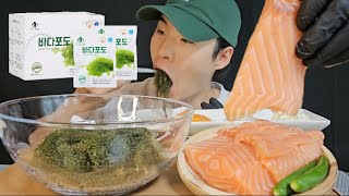 바다포도랑 연어 먹어볼게요! | Sea Grapes Salmon Sashimi MUKBANG ASMR REAL SOUND EATING SHOW