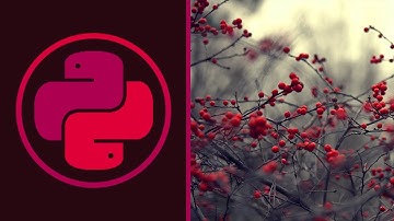 САМЫЕ ЧАСТЫЕ ОШИБКИ DJANGO | Python 3, Питон 3