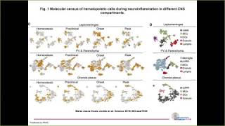 Famous Single-cell Webinar: Building a transcriptional atlas of myeloid subsets during neuroinflammation Profile