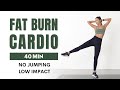 40 MIN FAT BURNING CARDIO WORKOUT - Low Impact, Knee Friendly, No Jumping