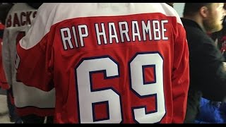 I Never Buy Counterfeit NHL Jerseys