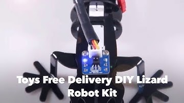 Toys Free Delivery DIY Mixly Code Programmable Lizard Robot Kit