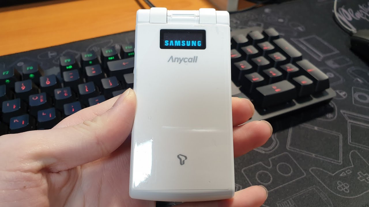 삼성 애니콜 SCH-W270 고아라폰