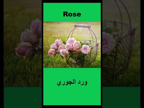 تعلم اسماء الورود بالانجليزي