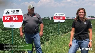 Pioneer® Brand Enlist E3® Soybeans Plot Visit: Impact of Summer Heat