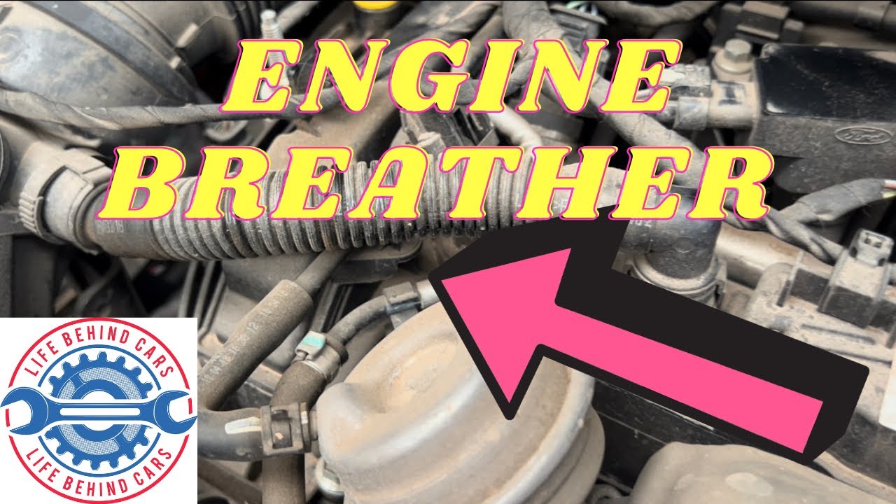 Ford Transit Courier Petrol 2018 Engine Breather Pipe Location YouTube ford-transit-courier-petrol-2018-engine-breather-pipe-location-youtube