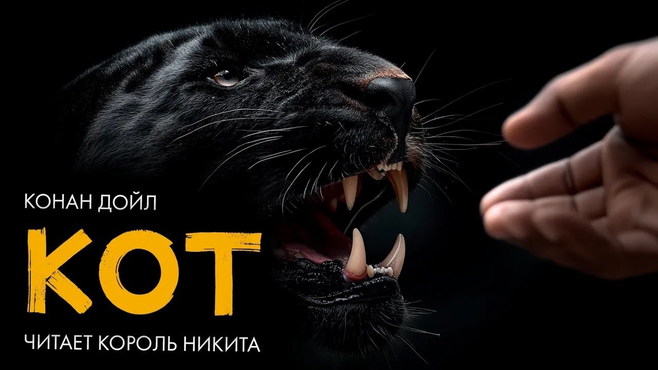Конан Дойл   Бразильский кот   Никита Король   Лучшие аудиокниги онлайн