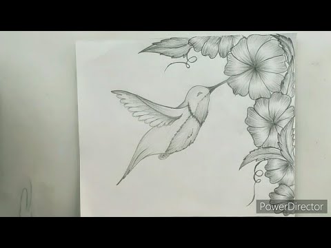 How To Draw A Hummingbird And Flower Step By Step
